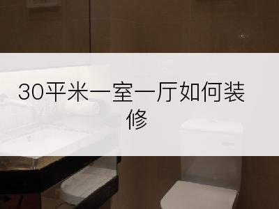 30平米一室一厅如何装修
