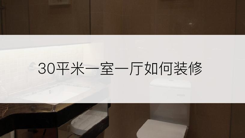 30平米一室一厅如何装修