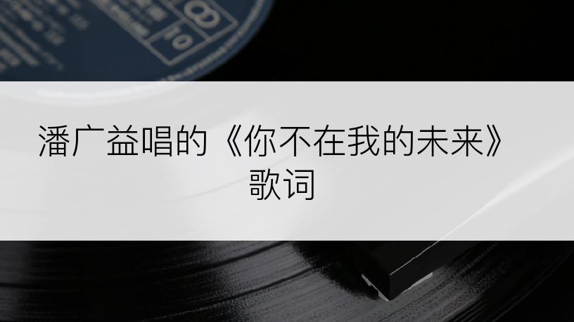 潘广益唱的《你不在我的未来》歌词