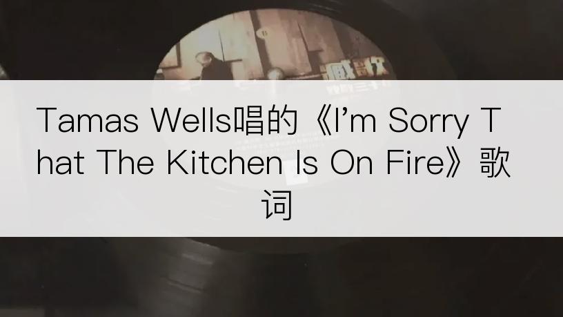 Tamas Wells唱的《I'm Sorry That The Kitchen Is On Fire》歌词
