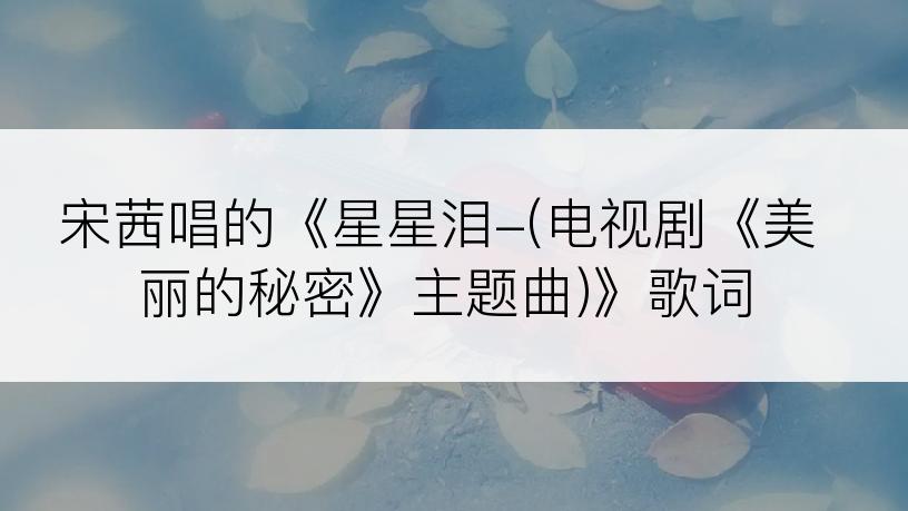 宋茜唱的《星星泪-(电视剧《美丽的秘密》主题曲)》歌词