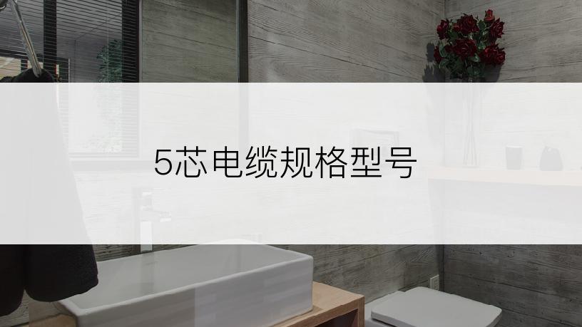 5芯电缆规格型号