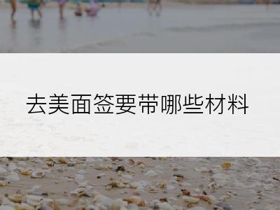 去美面签要带哪些材料