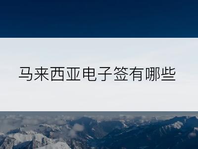 马来西亚电子签有哪些