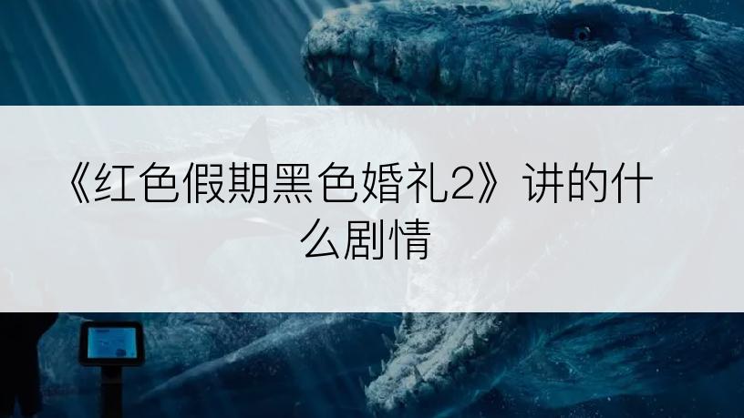 《红色假期黑色婚礼2》讲的什么剧情
