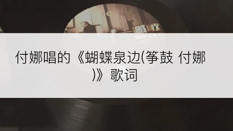 付娜唱的《蝴蝶泉边(筝鼓 付娜)》歌词