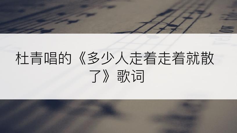 杜青唱的《多少人走着走着就散了》歌词