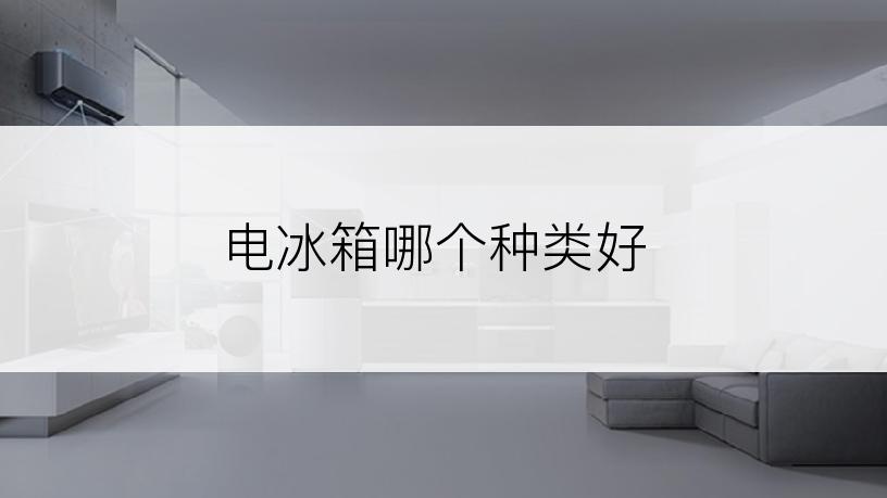 电冰箱哪个种类好