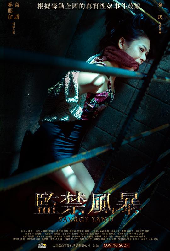 《监禁风暴》讲的什么剧情
