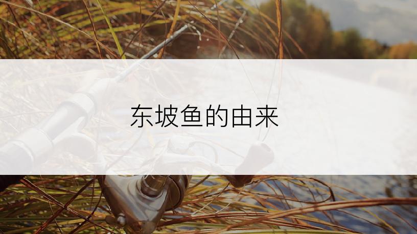 东坡鱼的由来
