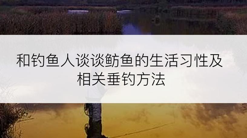 和钓鱼人谈谈鲂鱼的生活习性及相关垂钓方法