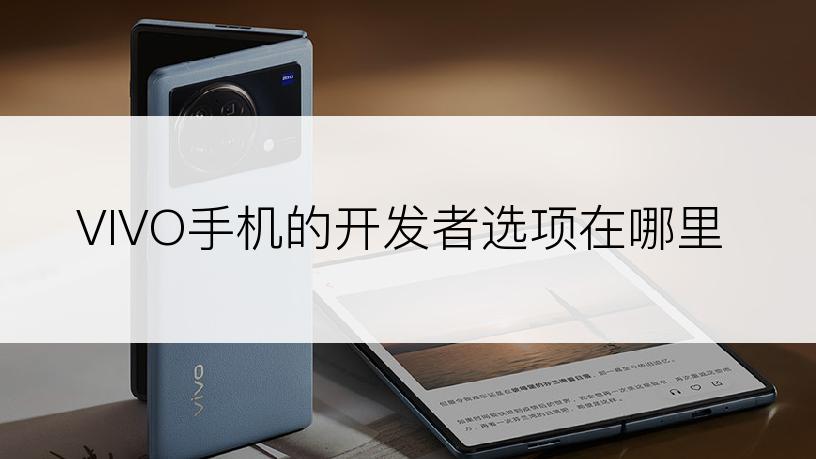 VIVO手机的开发者选项在哪里