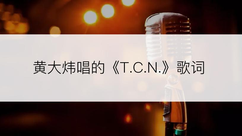 黄大炜唱的《T.C.N.》歌词