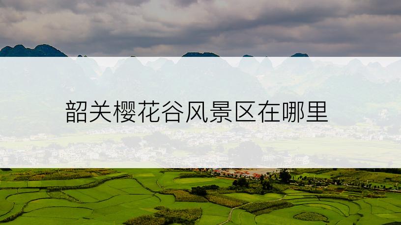 韶关樱花谷风景区在哪里