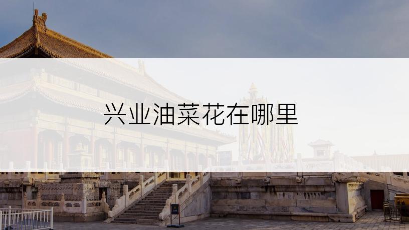 兴业油菜花在哪里