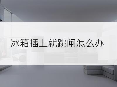 冰箱插上就跳闸怎么办