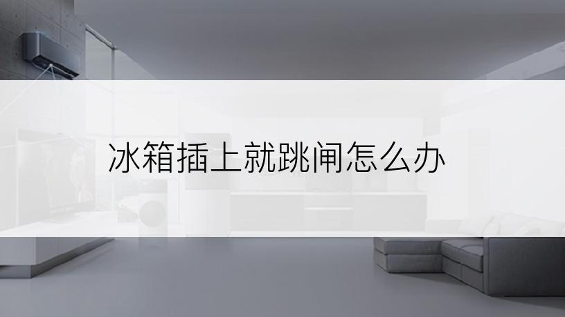 冰箱插上就跳闸怎么办