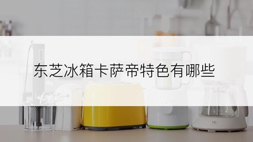 东芝冰箱卡萨帝特色有哪些