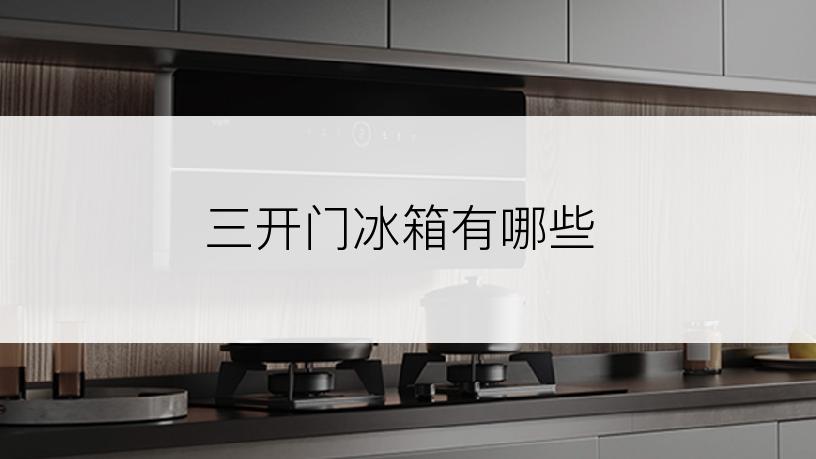 三开门冰箱有哪些
