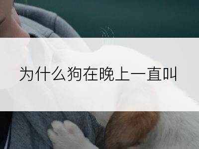 为什么狗在晚上一直叫