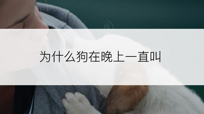 为什么狗在晚上一直叫