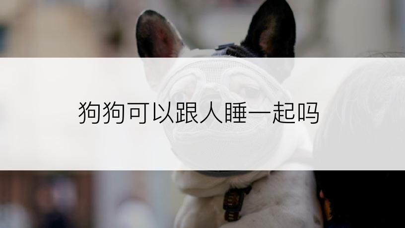 狗狗可以跟人睡一起吗
