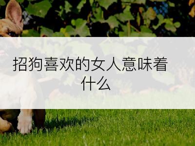 招狗喜欢的女人意味着什么