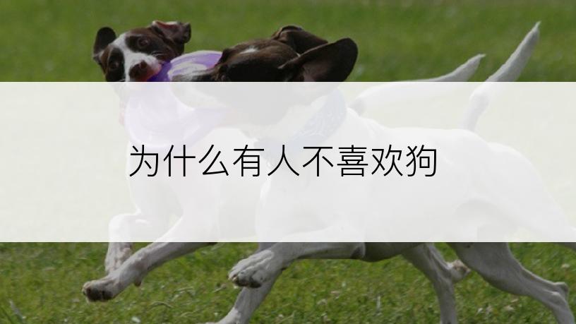 为什么有人不喜欢狗