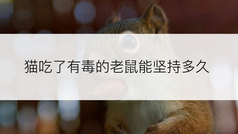 猫吃了有毒的老鼠能坚持多久