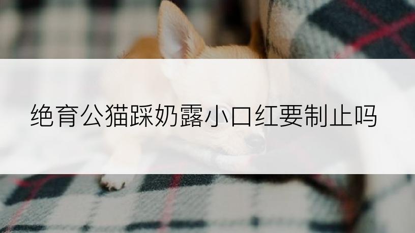 绝育公猫踩奶露小口红要制止吗