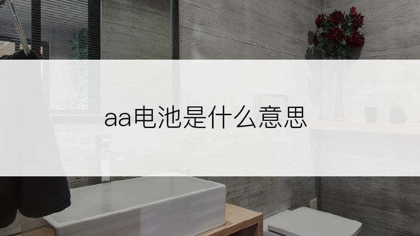 aa电池是什么意思