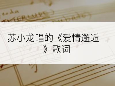 苏小龙唱的《爱情邂逅》歌词