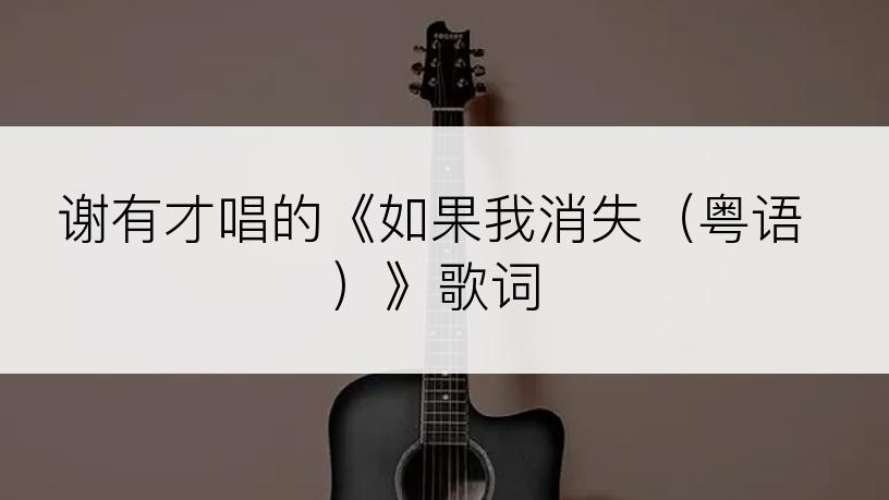 谢有才唱的《如果我消失（粤语）》歌词