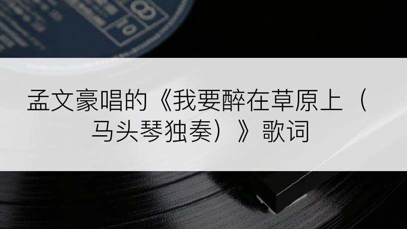 孟文豪唱的《我要醉在草原上（马头琴独奏）》歌词