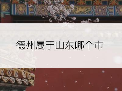 德州属于山东哪个市