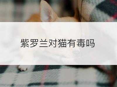 紫罗兰对猫有毒吗