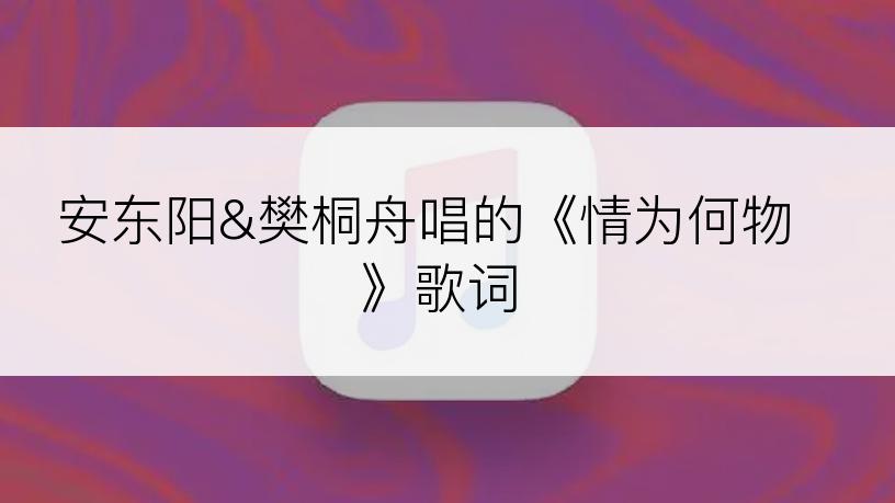 安东阳&樊桐舟唱的《情为何物》歌词
