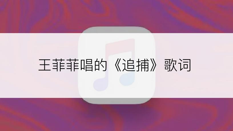 王菲菲唱的《追捕》歌词