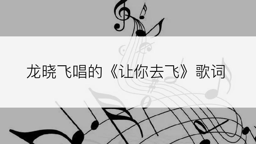 龙晓飞唱的《让你去飞》歌词