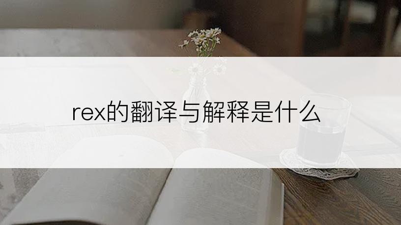 rex的翻译与解释是什么