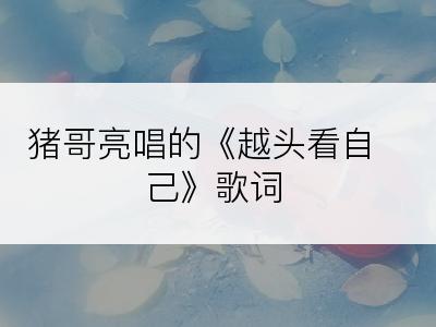 猪哥亮唱的《越头看自己》歌词
