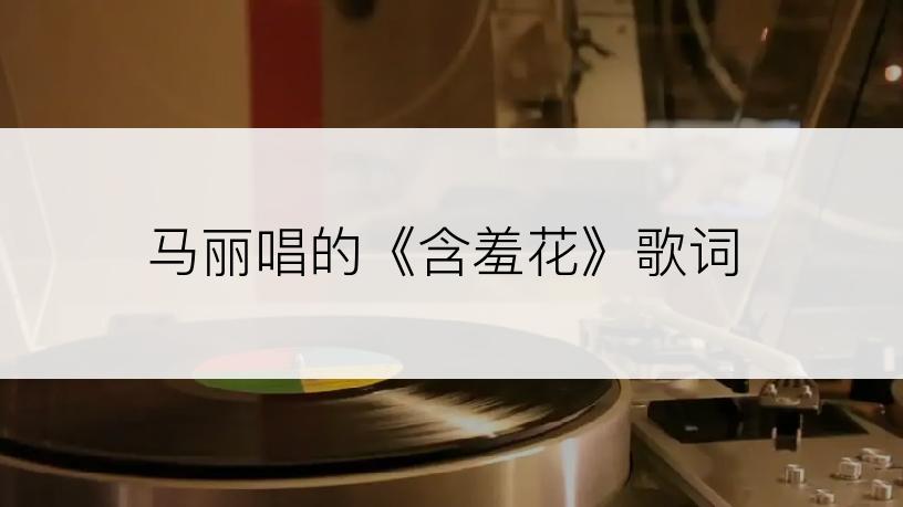 马丽唱的《含羞花》歌词