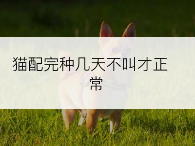 猫配完种几天不叫才正常
