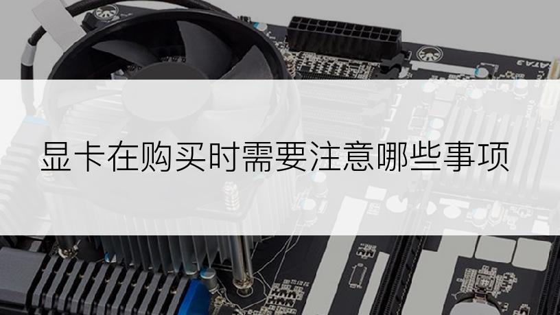 显卡在购买时需要注意哪些事项