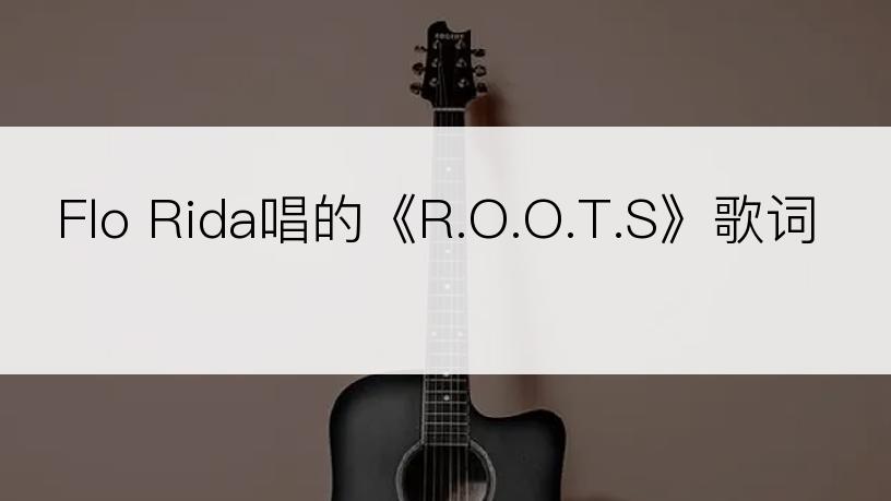 Flo Rida唱的《R.O.O.T.S》歌词