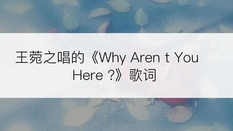 王菀之唱的《Why Aren t You Here ?》歌词