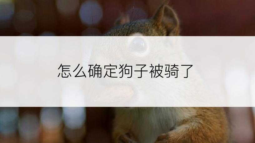 怎么确定狗子被骑了