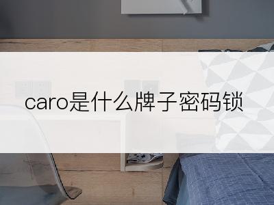 caro是什么牌子密码锁