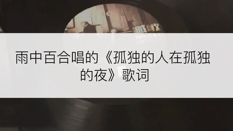 雨中百合唱的《孤独的人在孤独的夜》歌词