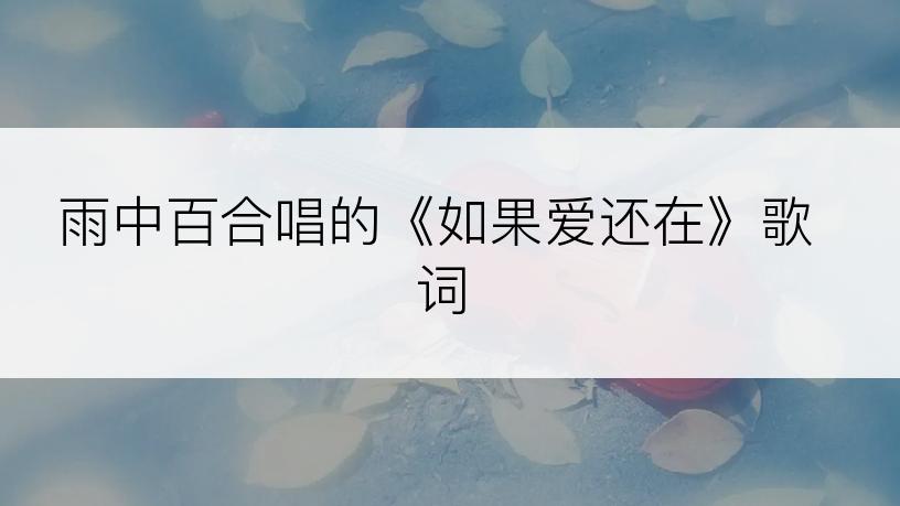 雨中百合唱的《如果爱还在》歌词